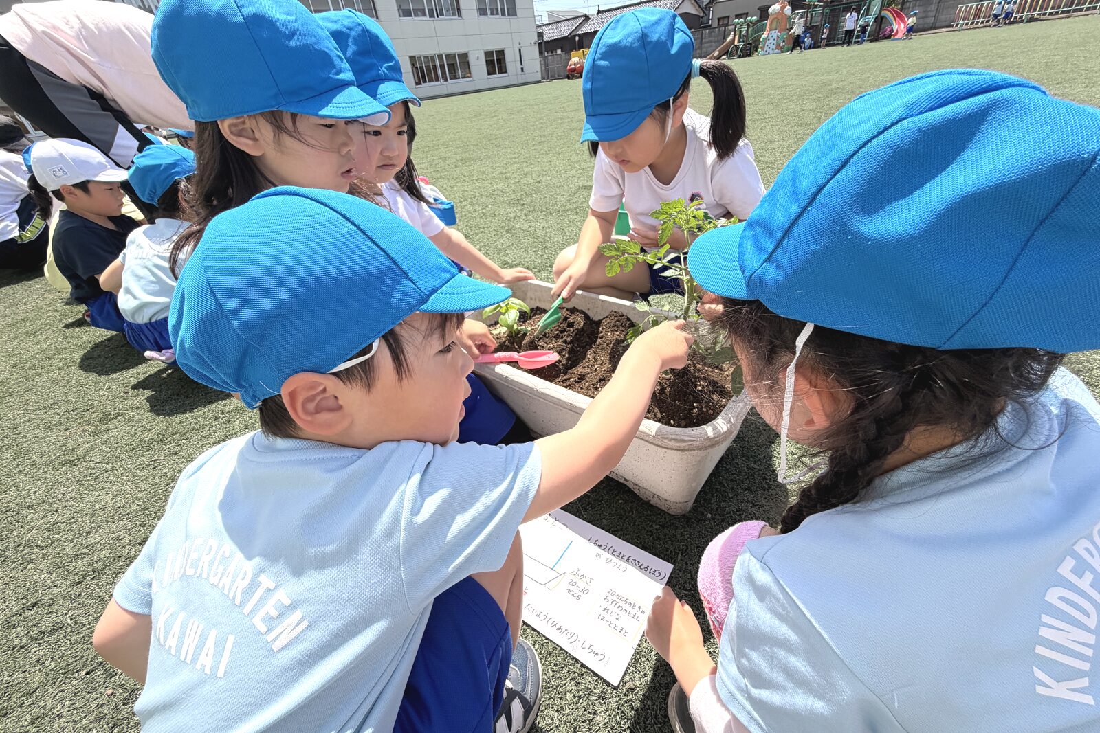 夢中で考える子ども達
