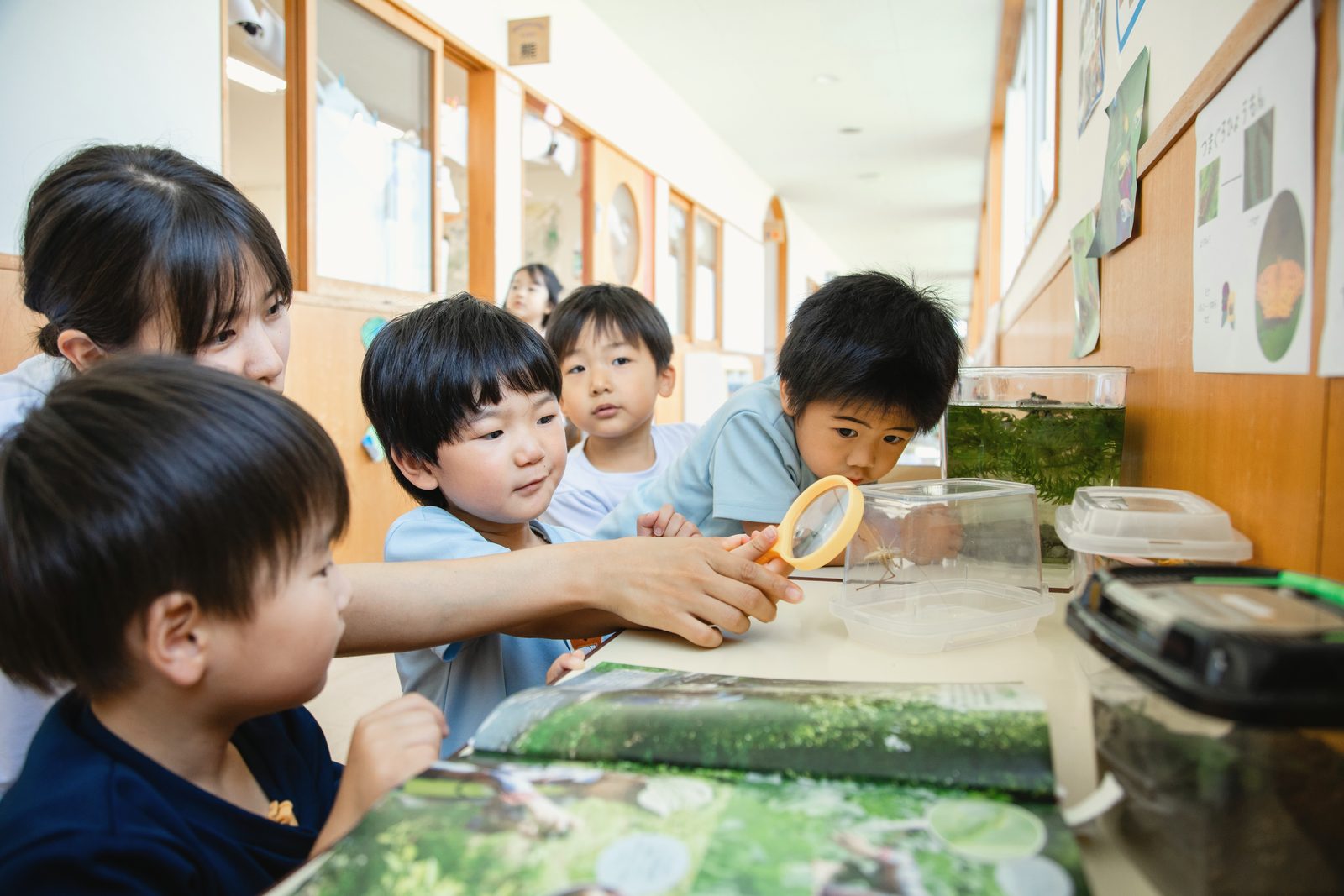 先生と一緒に観察を楽しむ子ども達